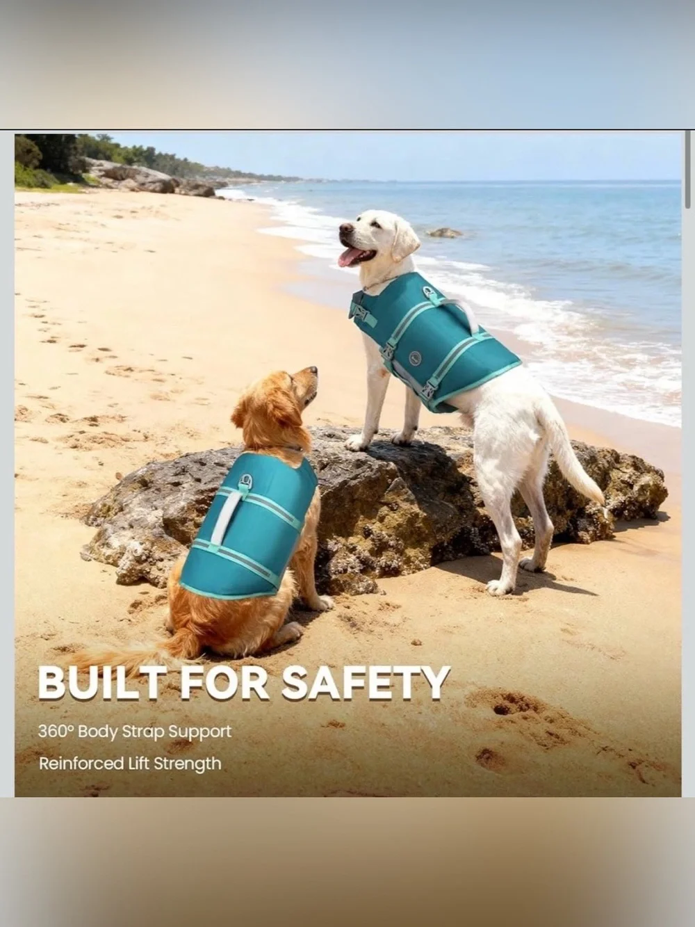 VIVAGLORY Rip Stop Dog Life Vest, Swimming Vest with Handle, Buoyancy for Doggy